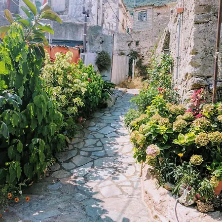 Traditional Διαμέρισμα